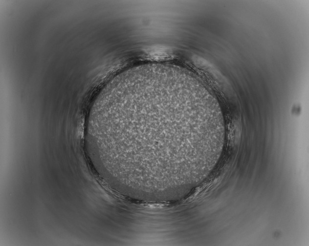 X0000097890368200804111024