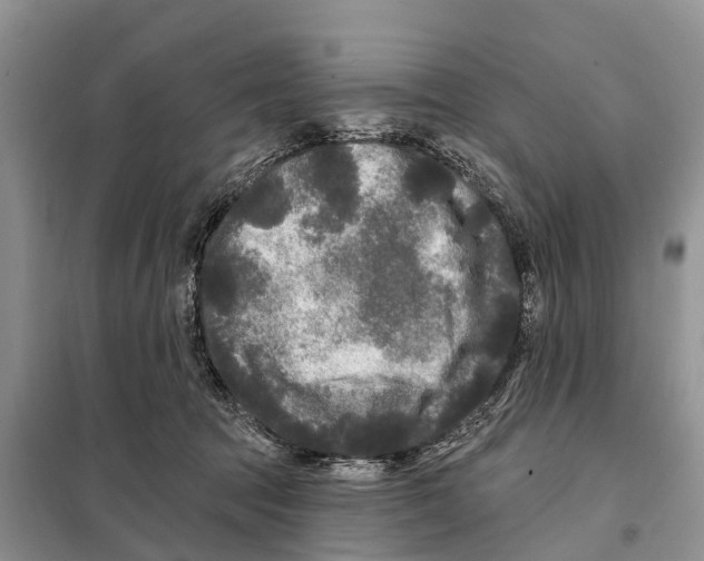 X0000097890369200804111024