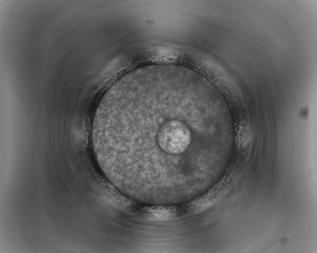 X0000097890370200804111024