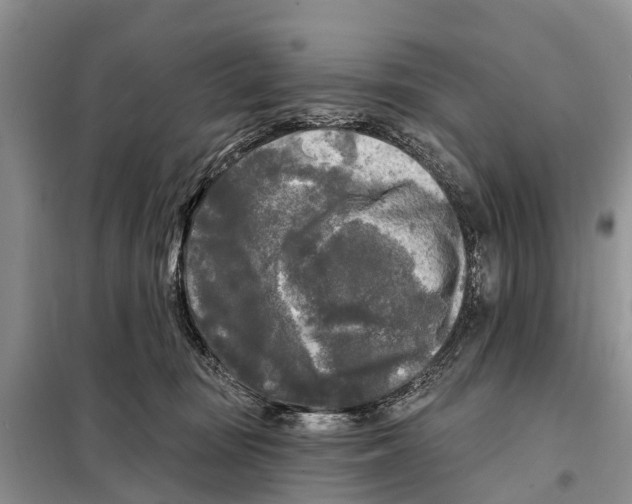 X0000097890371200804111024