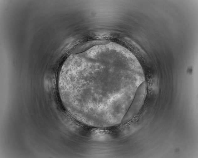 X0000097890372200804111024