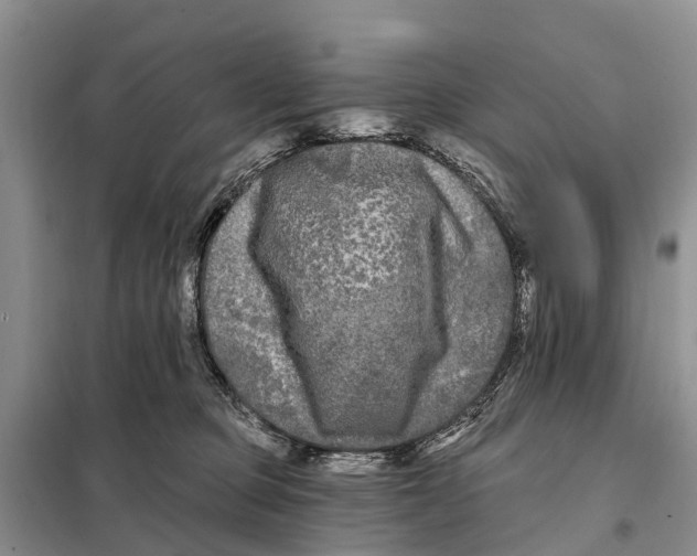 X0000097890373200804111024