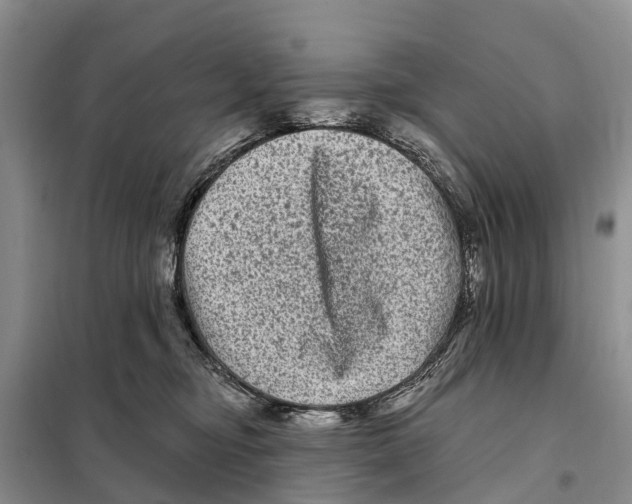 X0000097890374200804111024