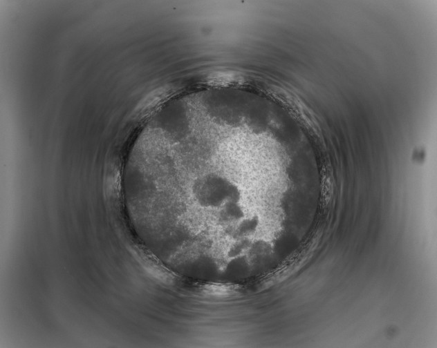 X0000097890375200804111024