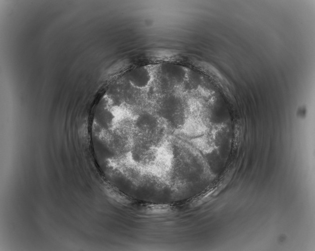 X0000097890377200804111024