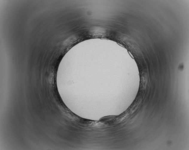 X0000097890379200804111024