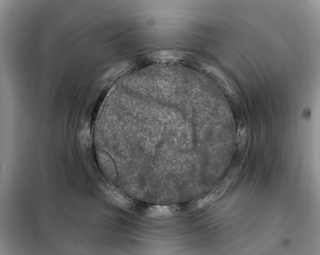 X0000097890381200804111024