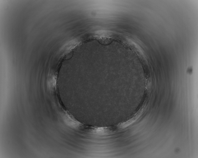 X0000097890382200804111024