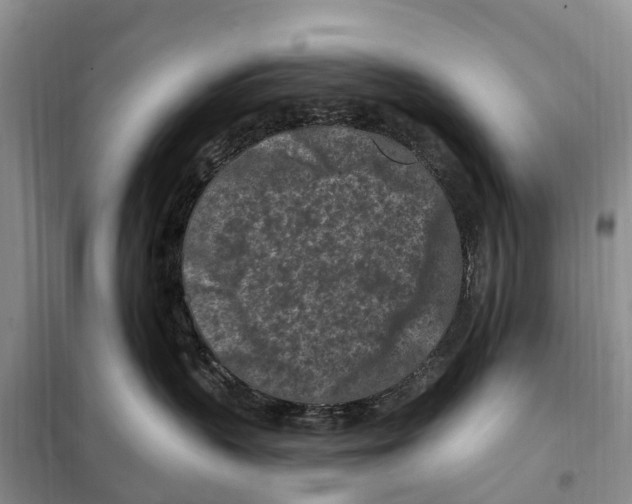 X0000097890383200804111024