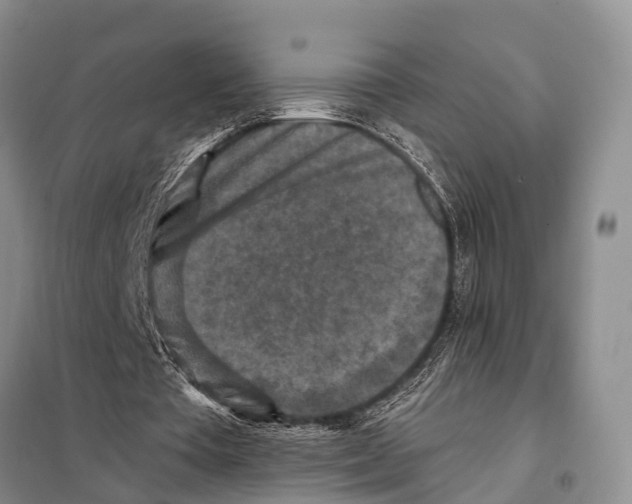 X0000097890385200804111023