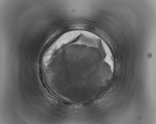 X0000097890386200804111023