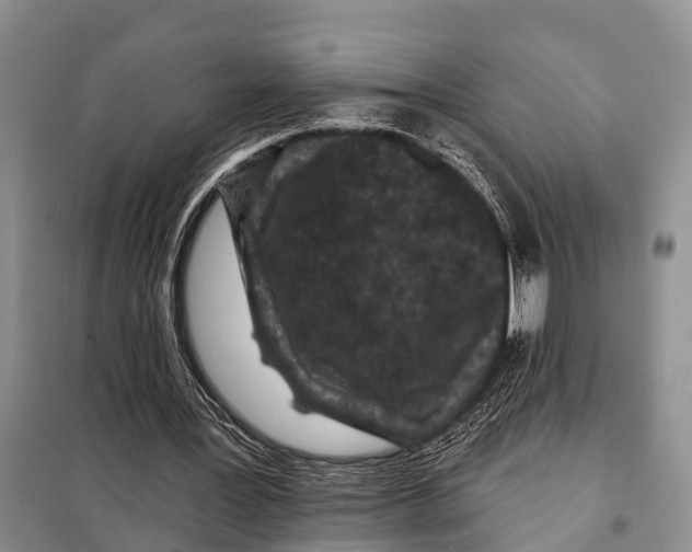 X0000097890387200804111023