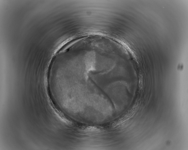 X0000097890390200804111023