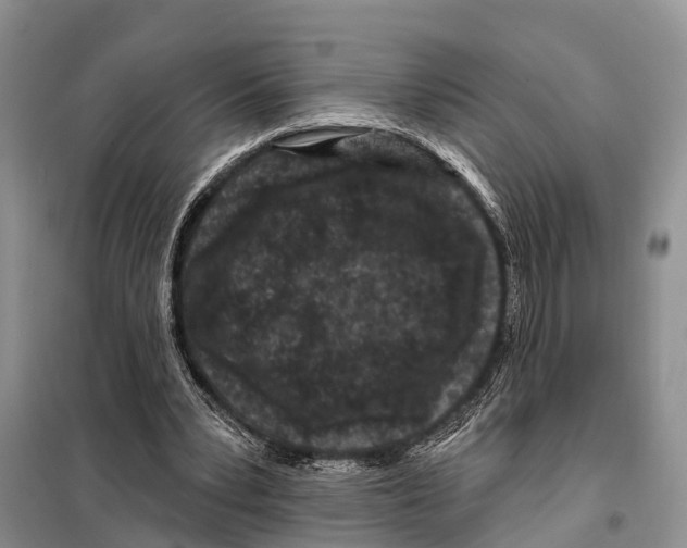 X0000097890391200804111023