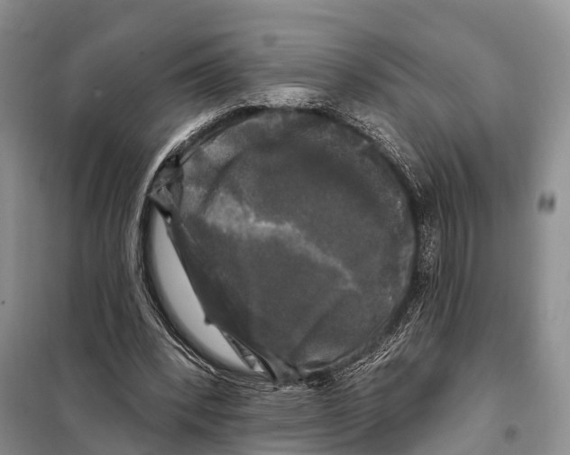 X0000097890392200804111023