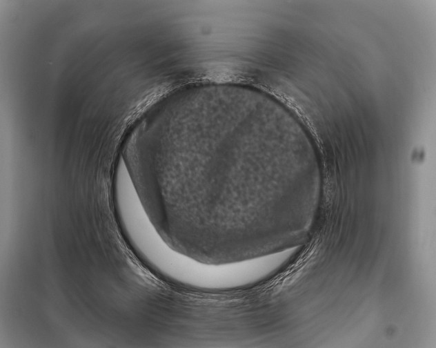 X0000097890393200804111023