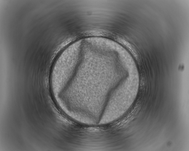 X0000097890394200804111023