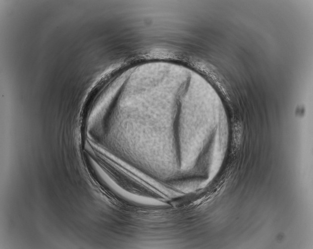 X0000097890395200804111023