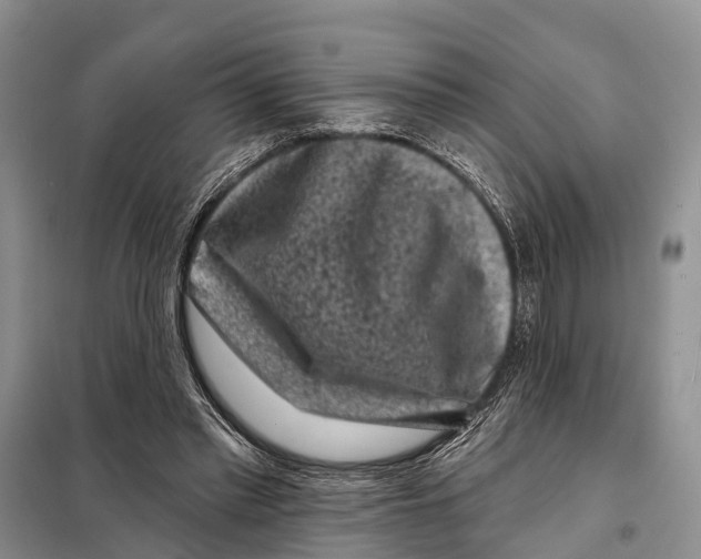 X0000097890397200804111023