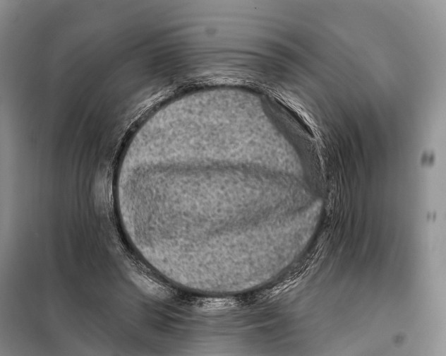 X0000097890398200804111023