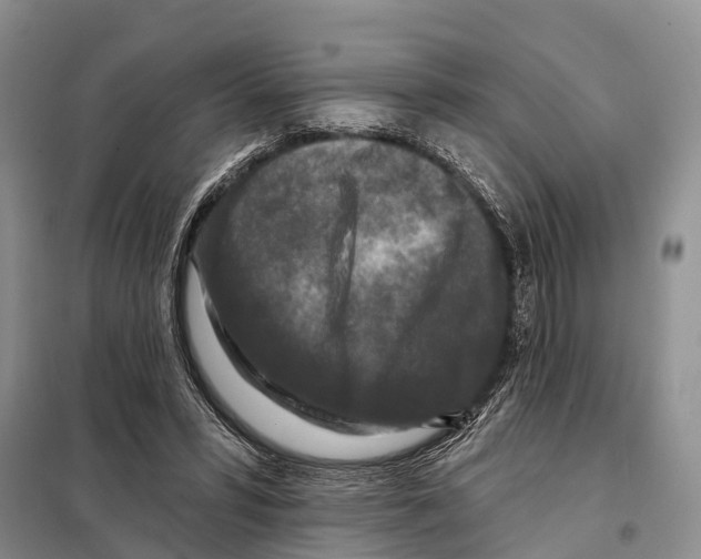 X0000097890399200804111023