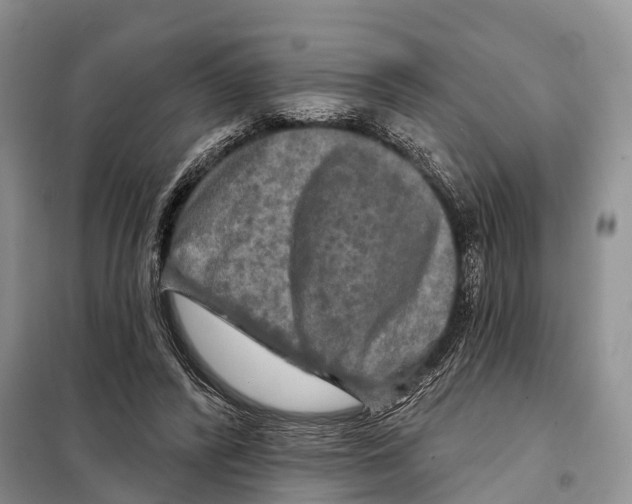 X0000097890400200804111023