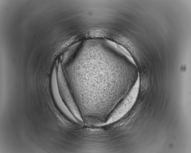 X0000097890401200804111023