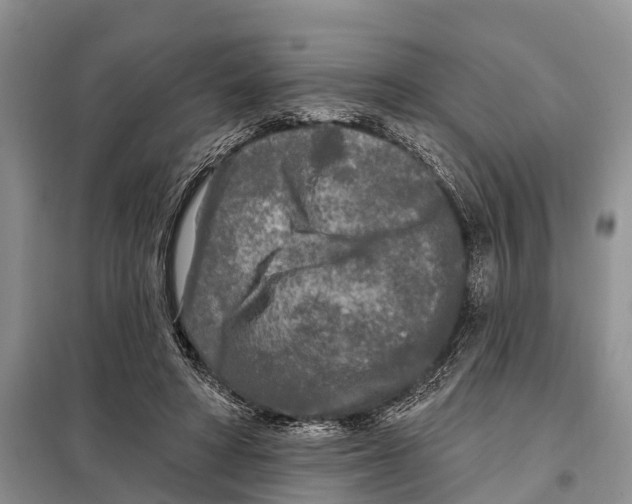 X0000097890402200804111023