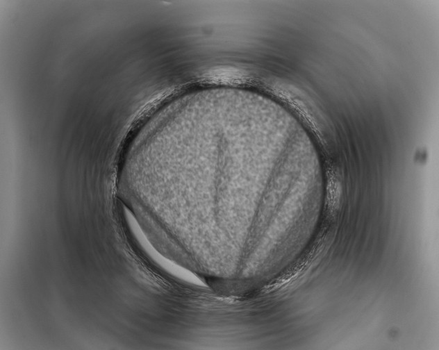 X0000097890403200804111023