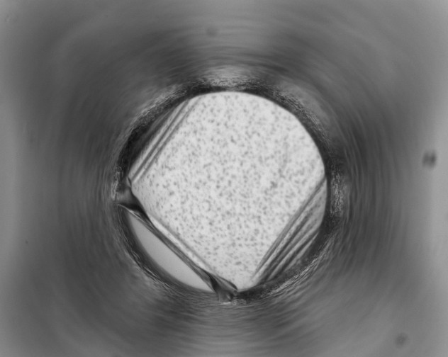 X0000097890404200804111023