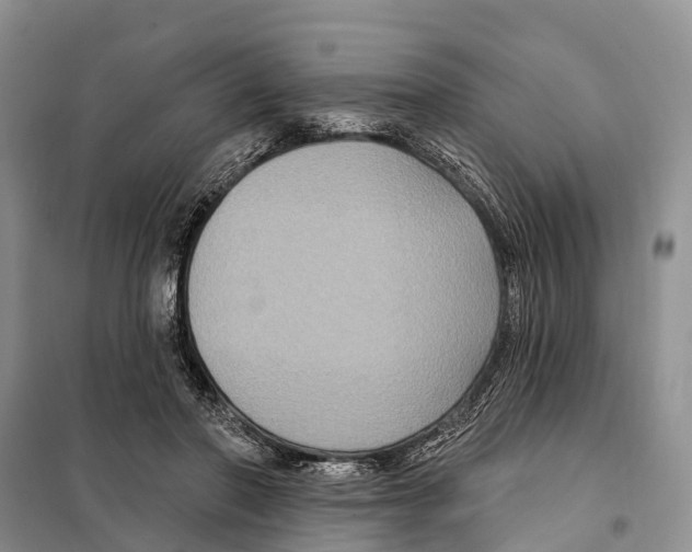 X0000097890406200804111023