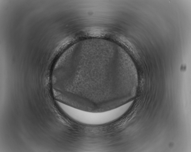 X0000097890407200804111023