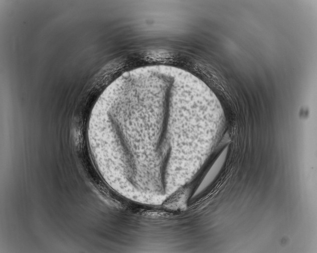 X0000097890408200804111023