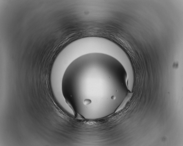 X0000097890409200804111023