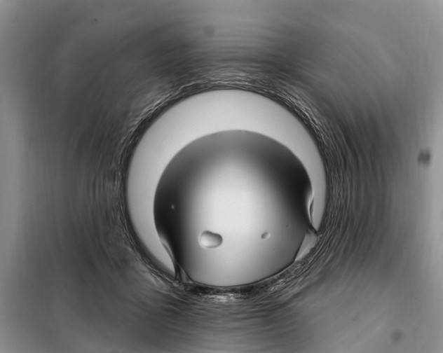 X0000097890411200804111023