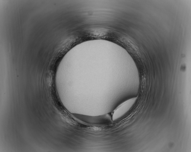 X0000097890412200804111023