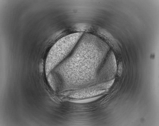 X0000097890413200804111023