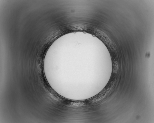 X0000097890414200804111023