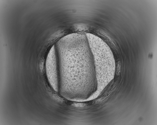 X0000097890417200804111023