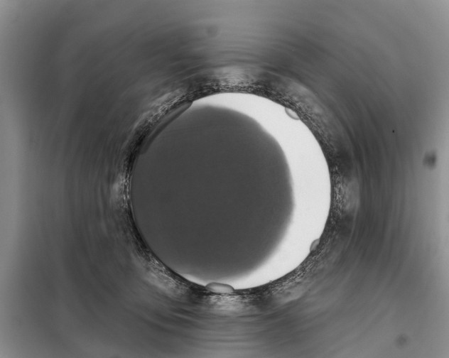 X0000097890419200804111023