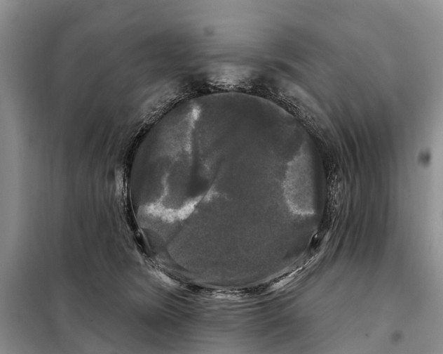 X0000097890420200804111023