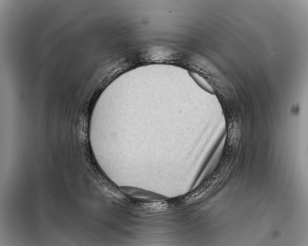 X0000097890421200804111023