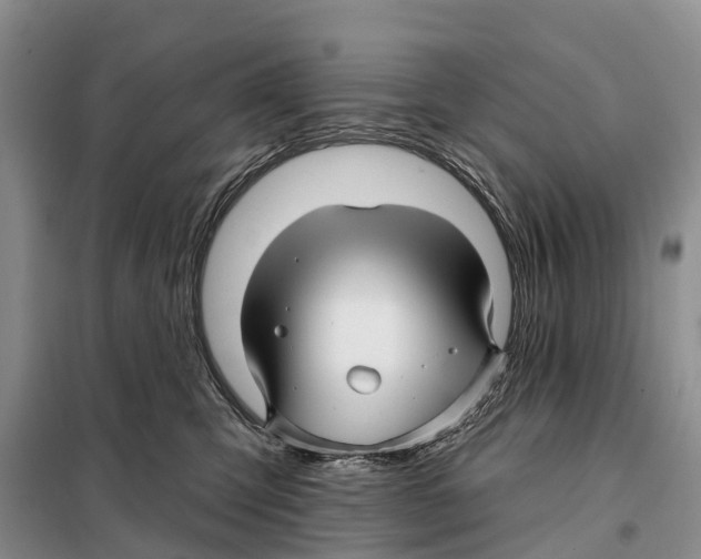 X0000097890423200804111023