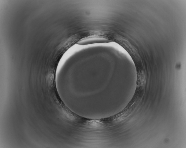 X0000097890427200804111023