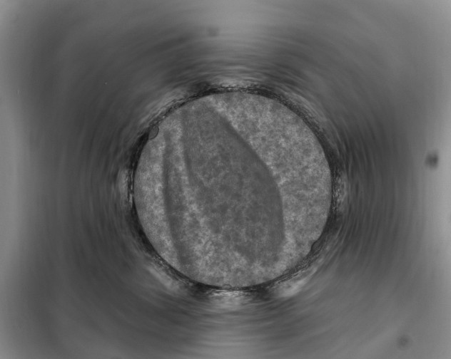 X0000097890428200804111023