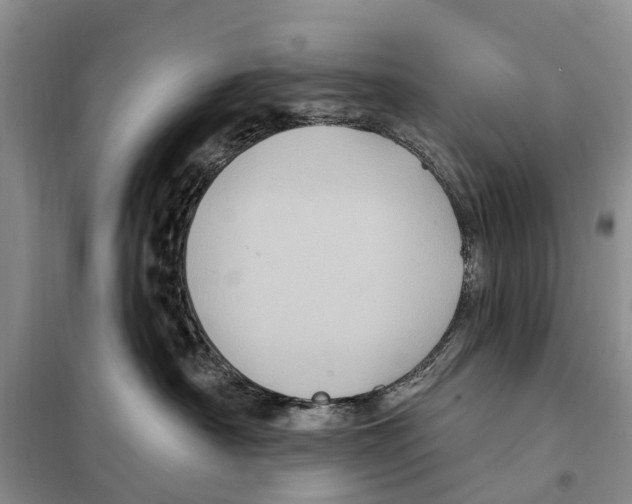 X0000097890430200804111023