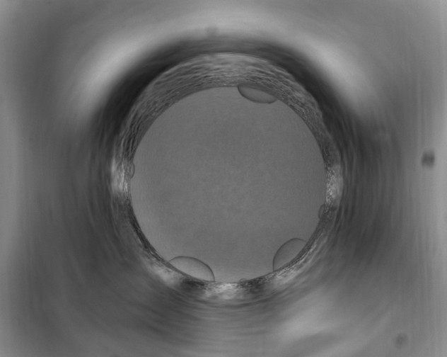 X0000097890431200804111023