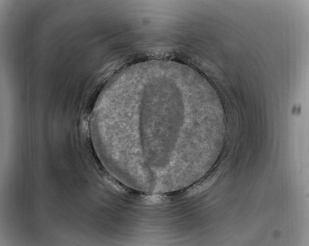 X0000097890432200804111023