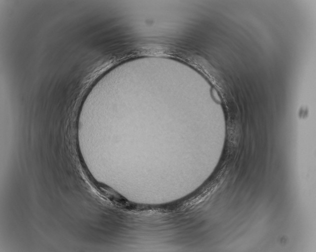 X0000097890433200804111022