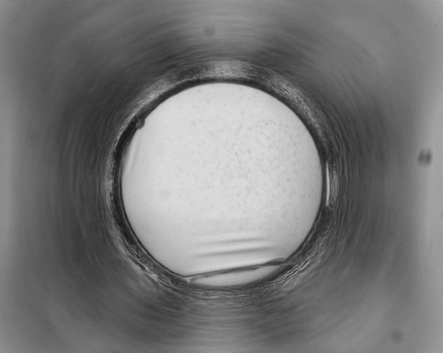 X0000097890435200804111022